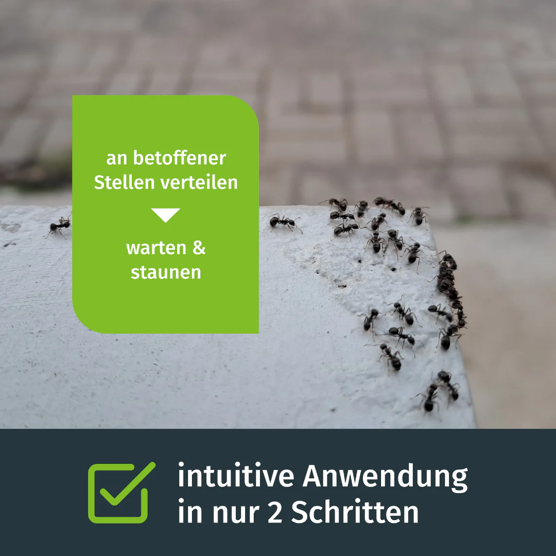 Ameisen Stopp - Image 3