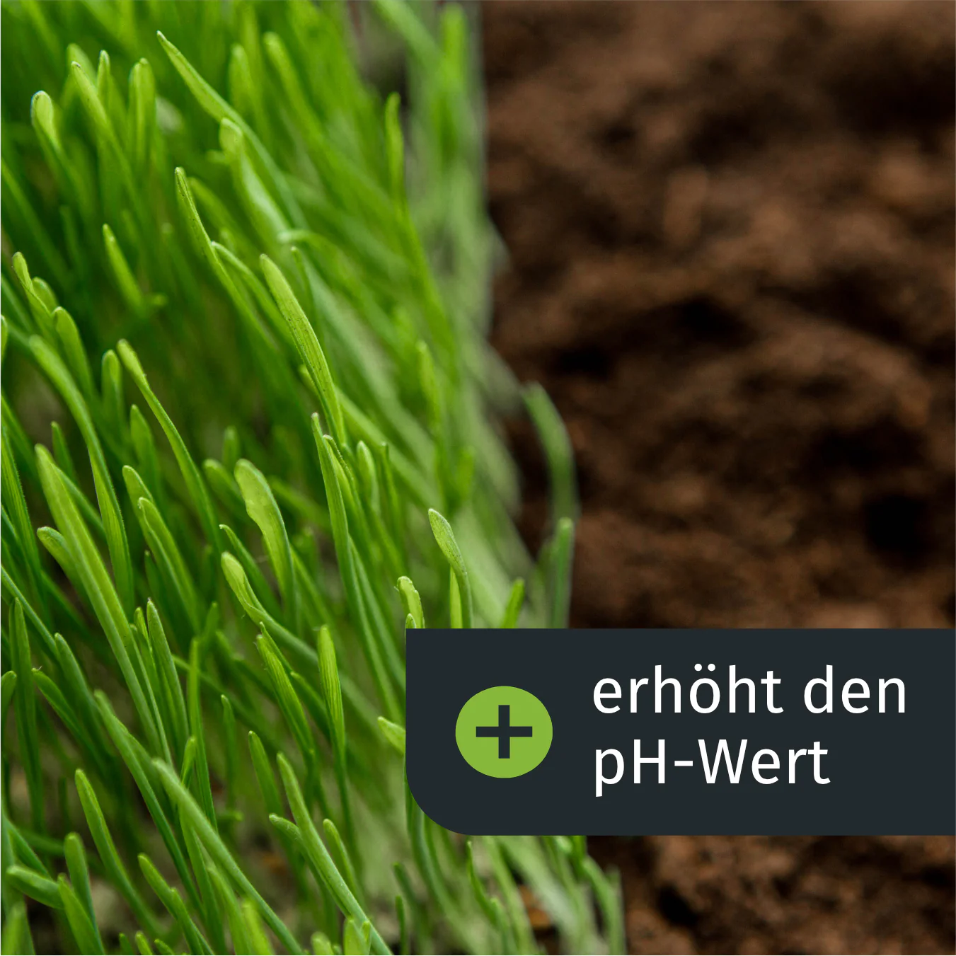 Frühlings Komplett Rasenset (1000 m²) - Image 4