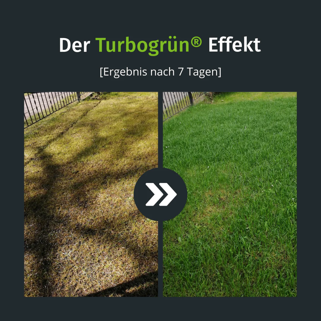 Frühlings Rasenset + GRATIS Unkrautvernichter (250 m²) AT - Image 2