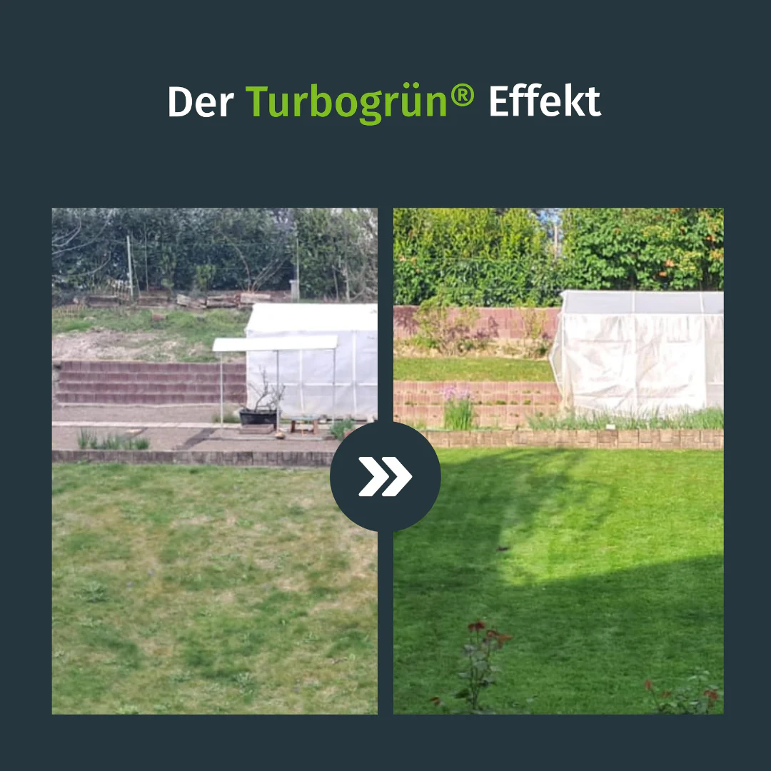 Flüssig-Rasendünger inkl. Sprühkopf - Image 2
