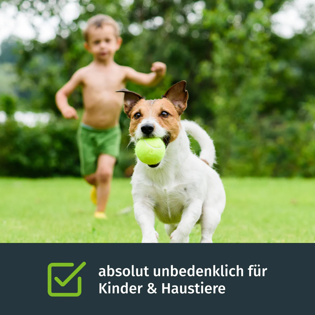 Flüssig-Rasendünger inkl. Sprühkopf - Image 4