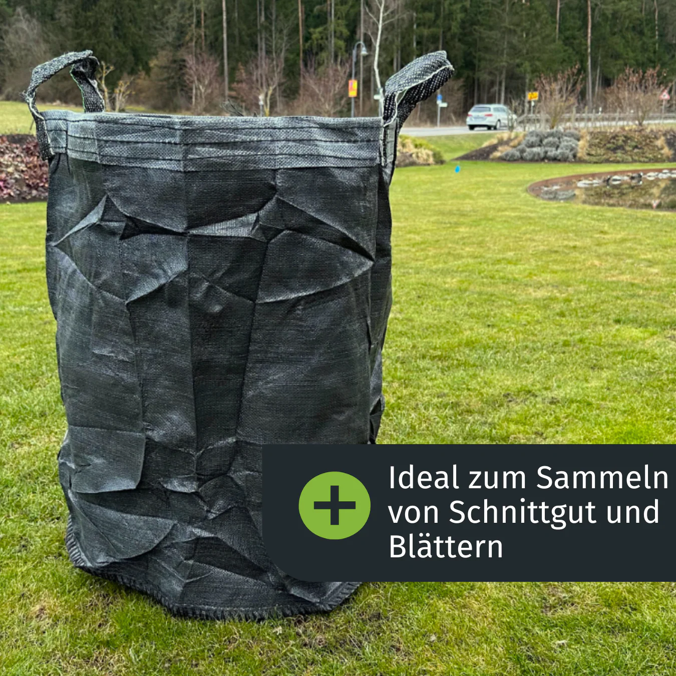 Vorschaubild 2