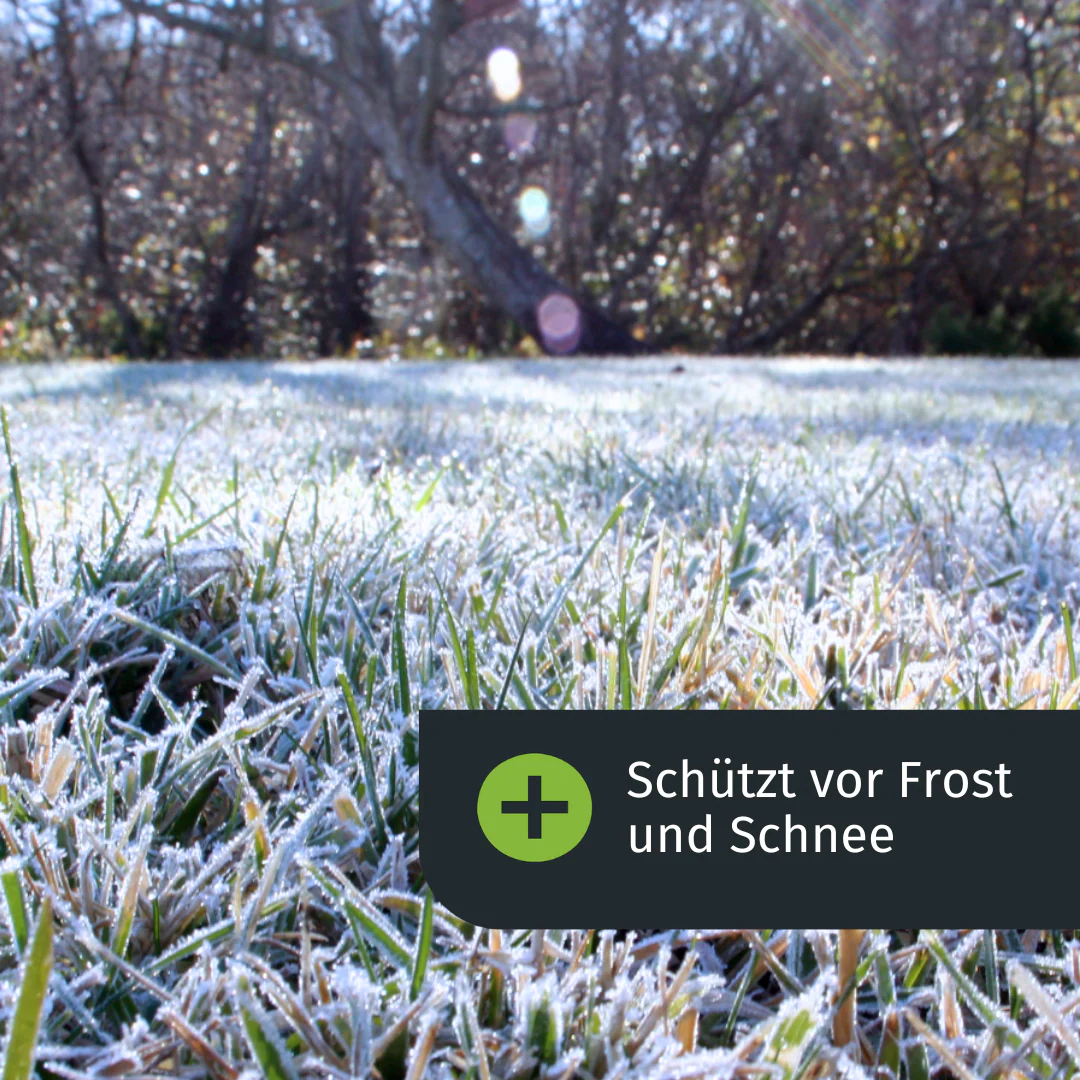 Herbst Rasenset (1000 m²) - Image 5
