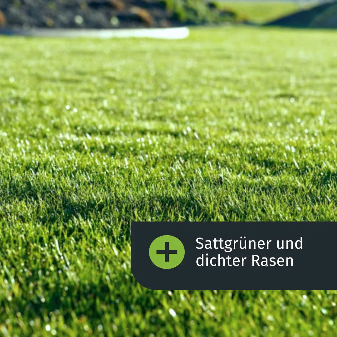 Herbst Rasenset (250 m²) - Image 3