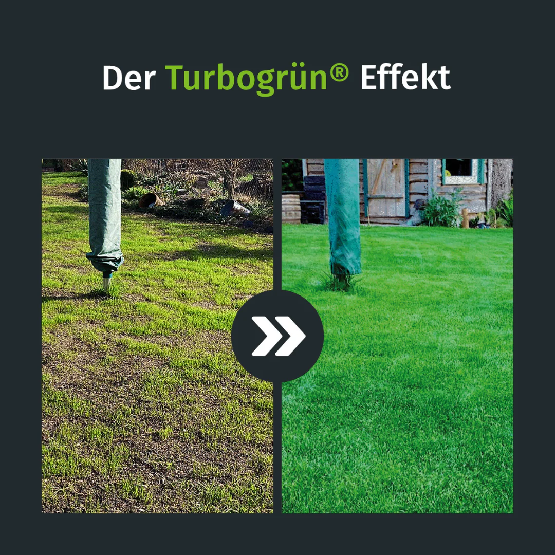 Herbst Rasenset + GRATIS Unkrautvernichter (250 m²) - Image 2