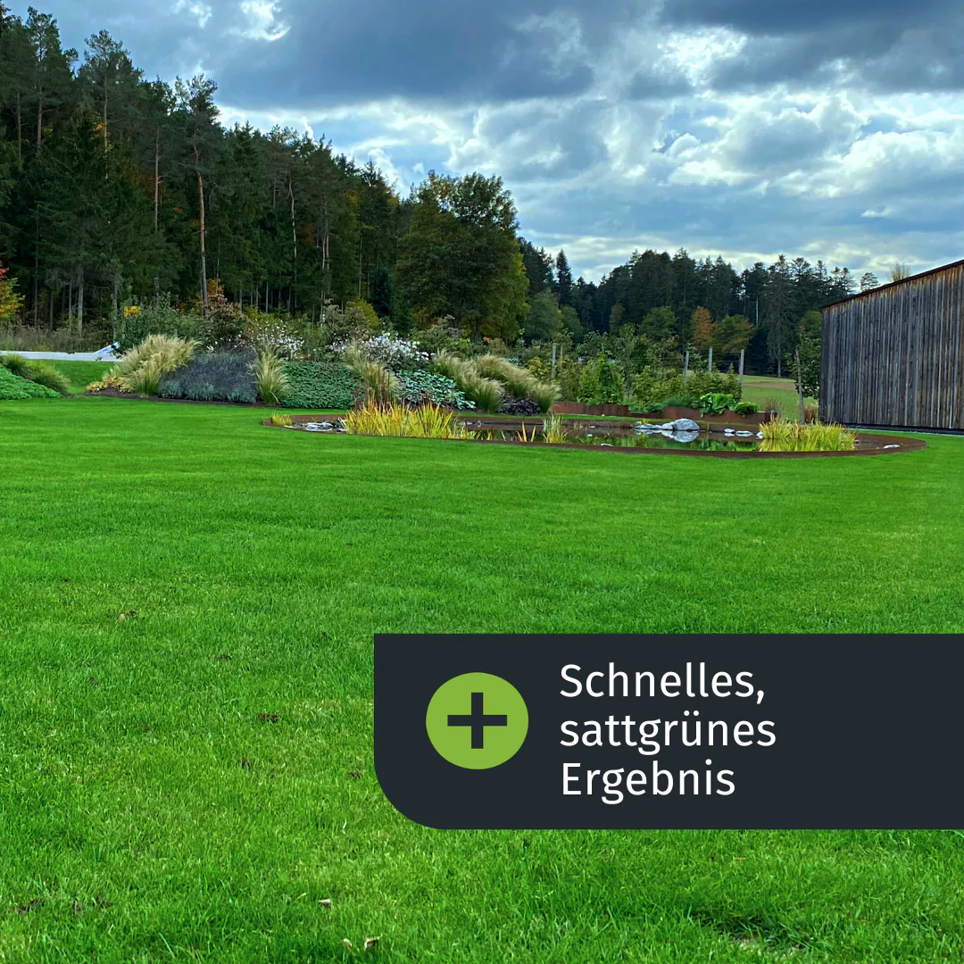 Herbst Rasenset + GRATIS Unkrautvernichter (250 m²) - Image 5