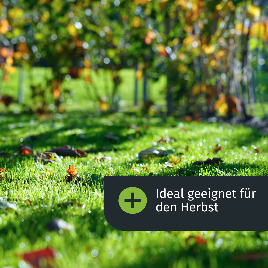 Herbst Rasenset + GRATIS Unkrautvernichter (250 m²) AT - Image 3