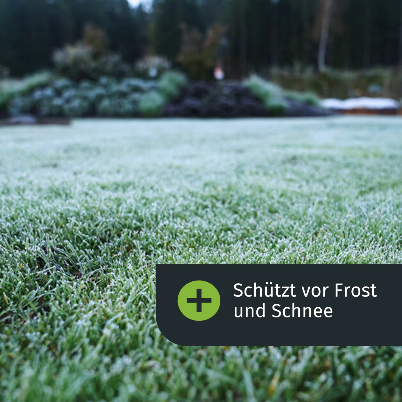Herbst Rasenset + GRATIS Unkrautvernichter (250 m²) AT - Image 4