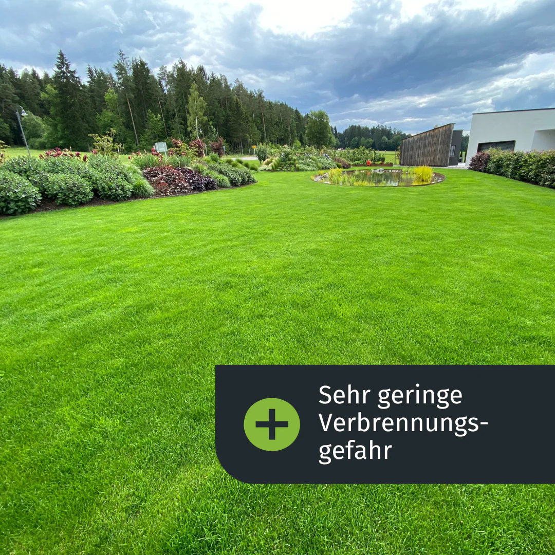 Premium Dünger-Abo (Frühjahr) - Image 4