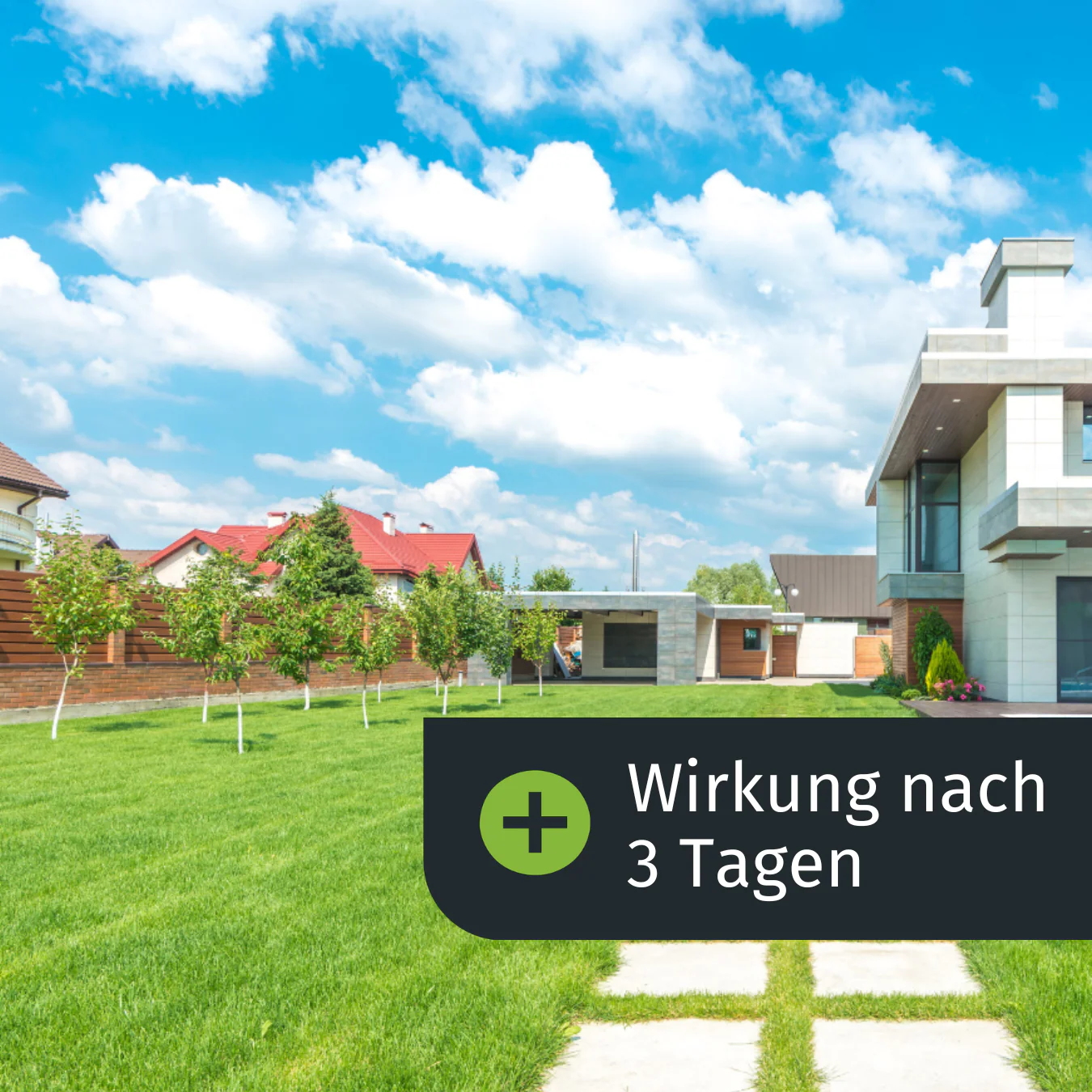 Premium Dünger-Abo (Sommer) - Image 3