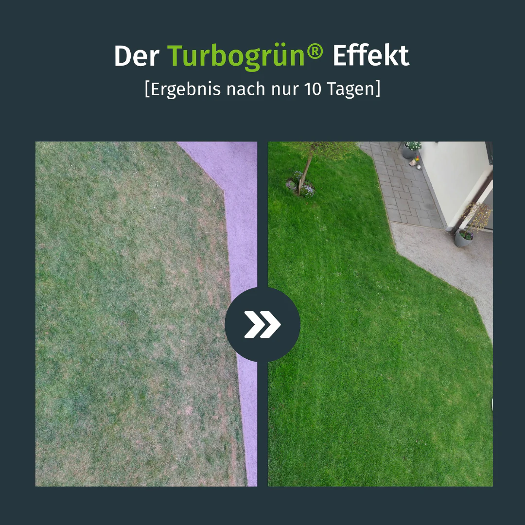 Premium Sommer-Rasendünger - Image 2
