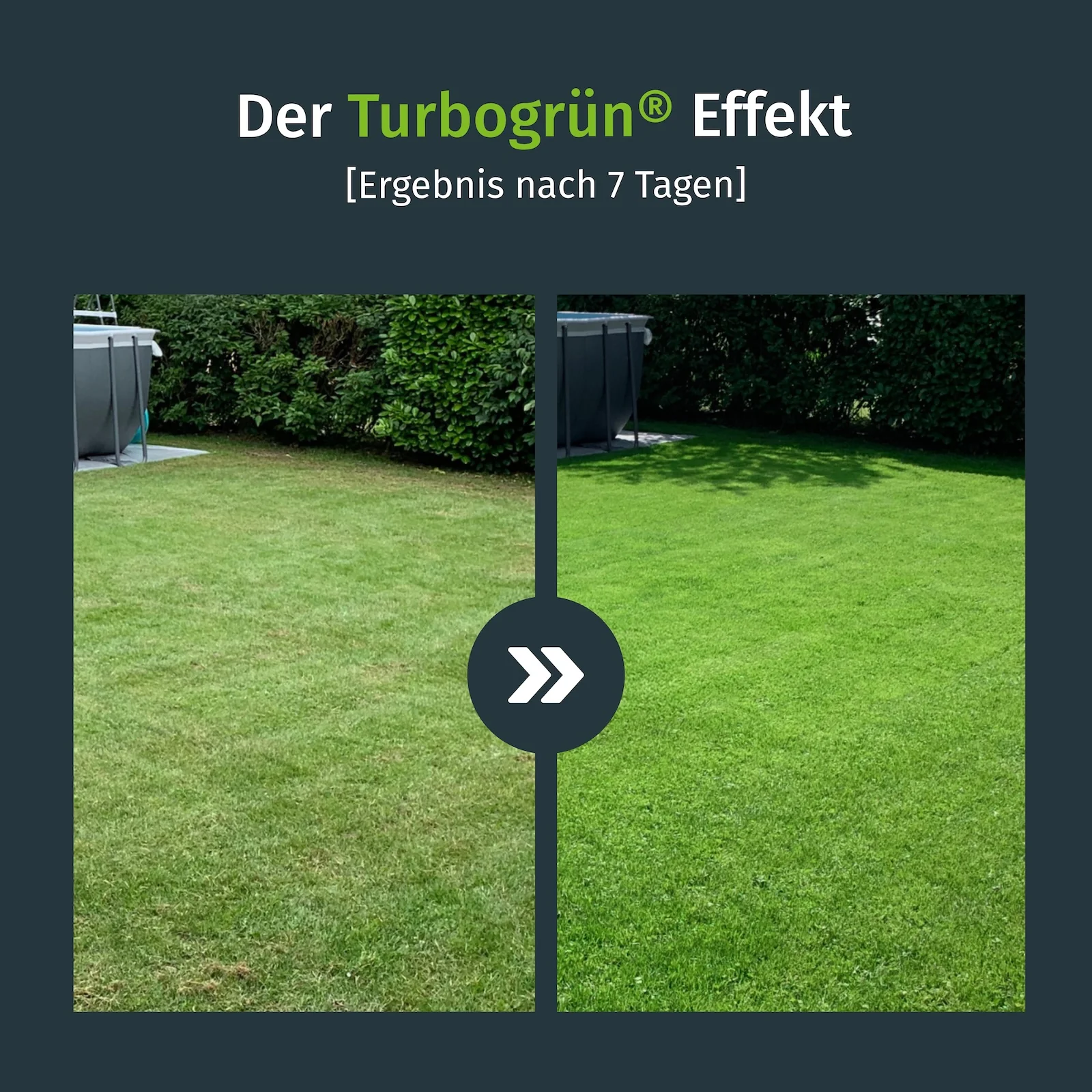 Langzeit-Rasendünger / Frühjahr-Rasendünger - Image 2