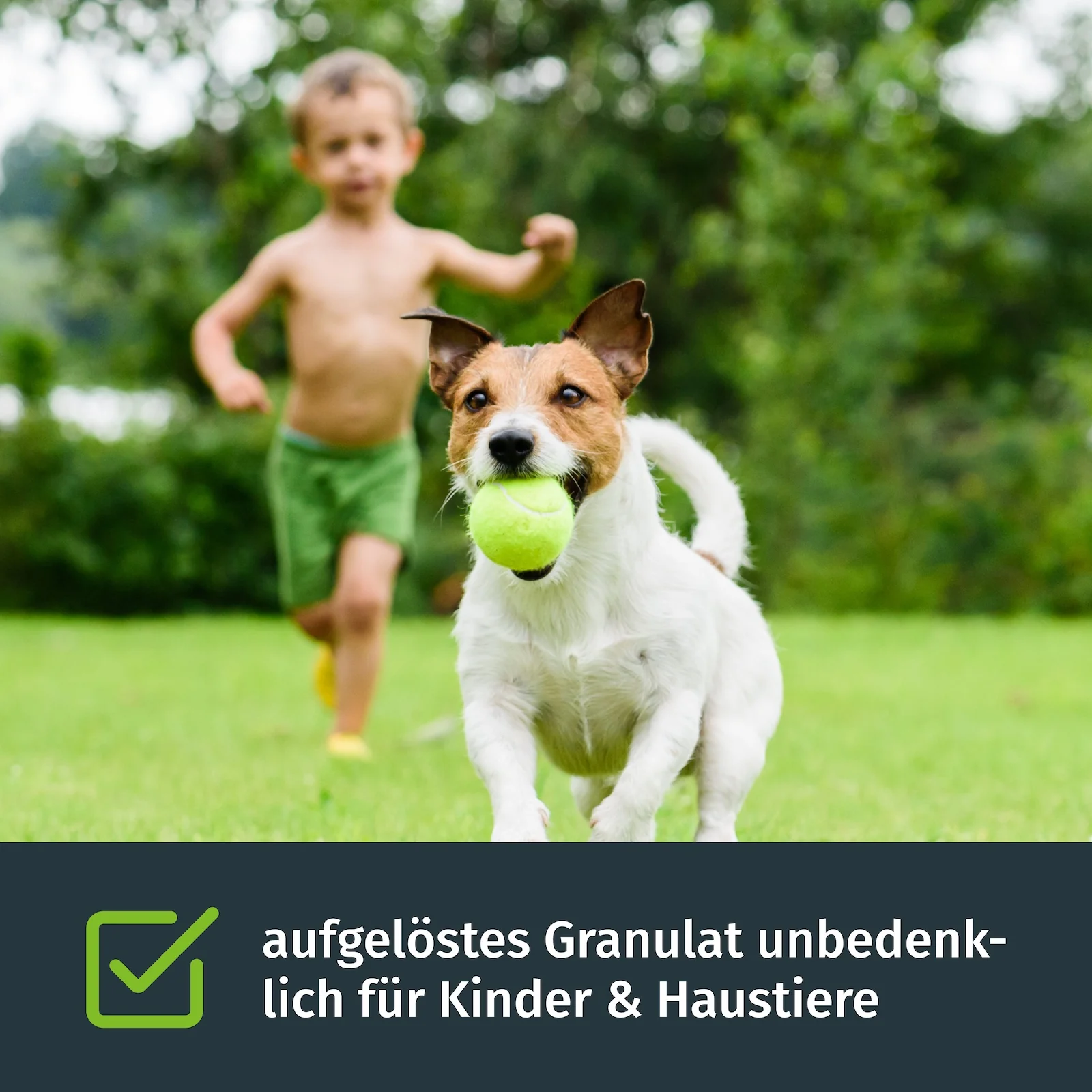 Langzeit-Rasendünger / Frühjahr-Rasendünger - Image 4