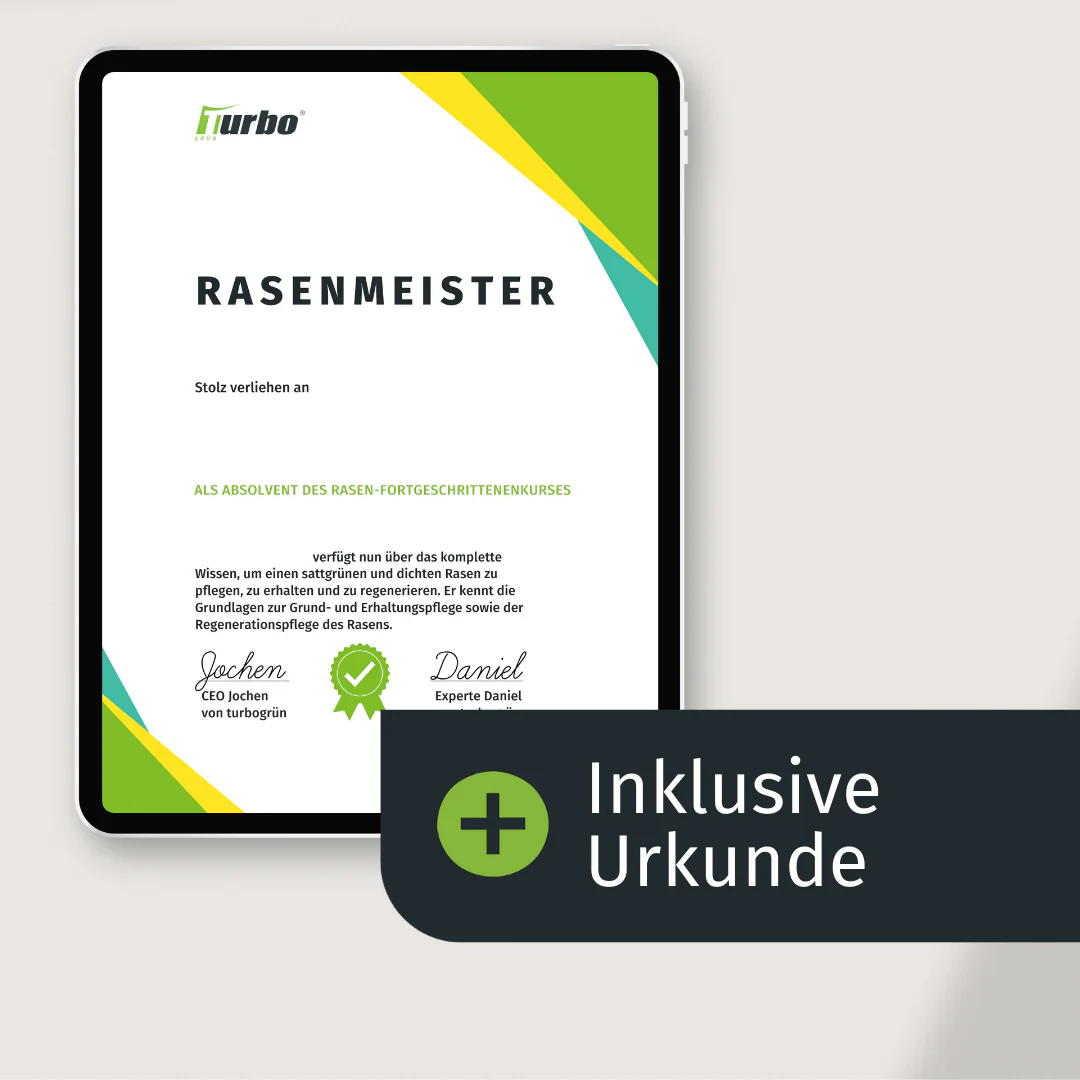 Rasen Uni Grundkurs - Image 4