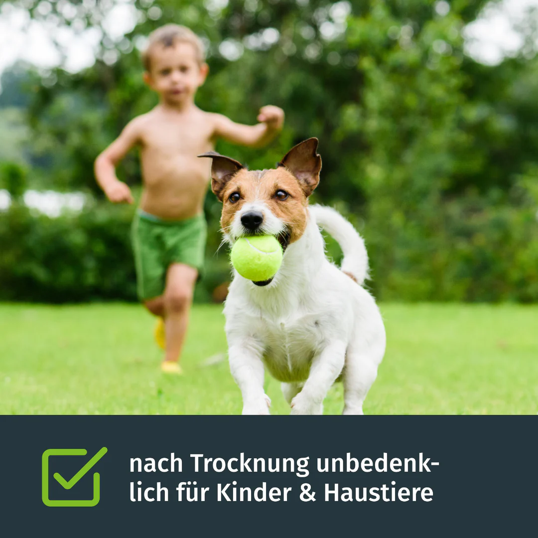 Rasenfarbe - Image 4