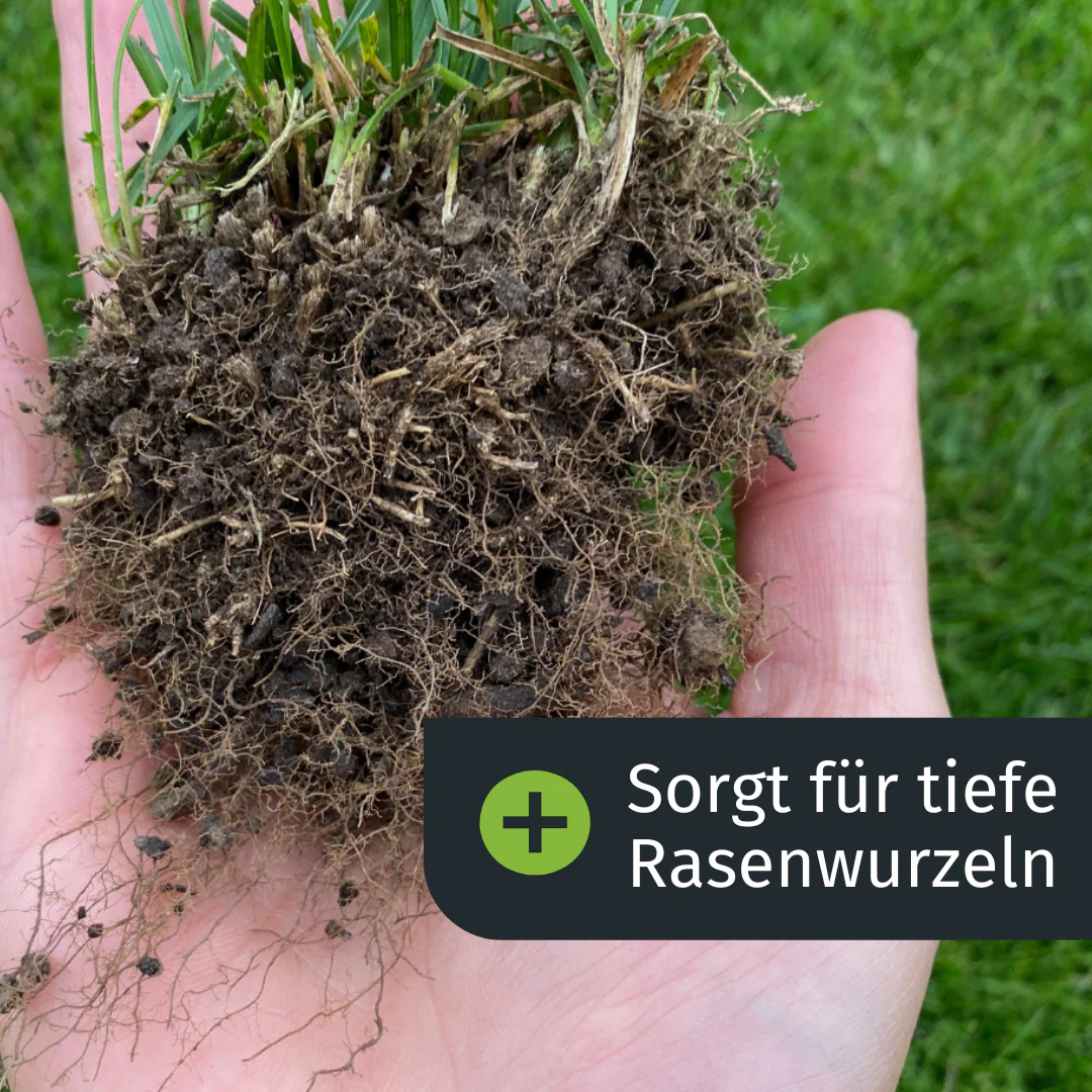 Sommer-Rasenset (250 m²) - Image 6