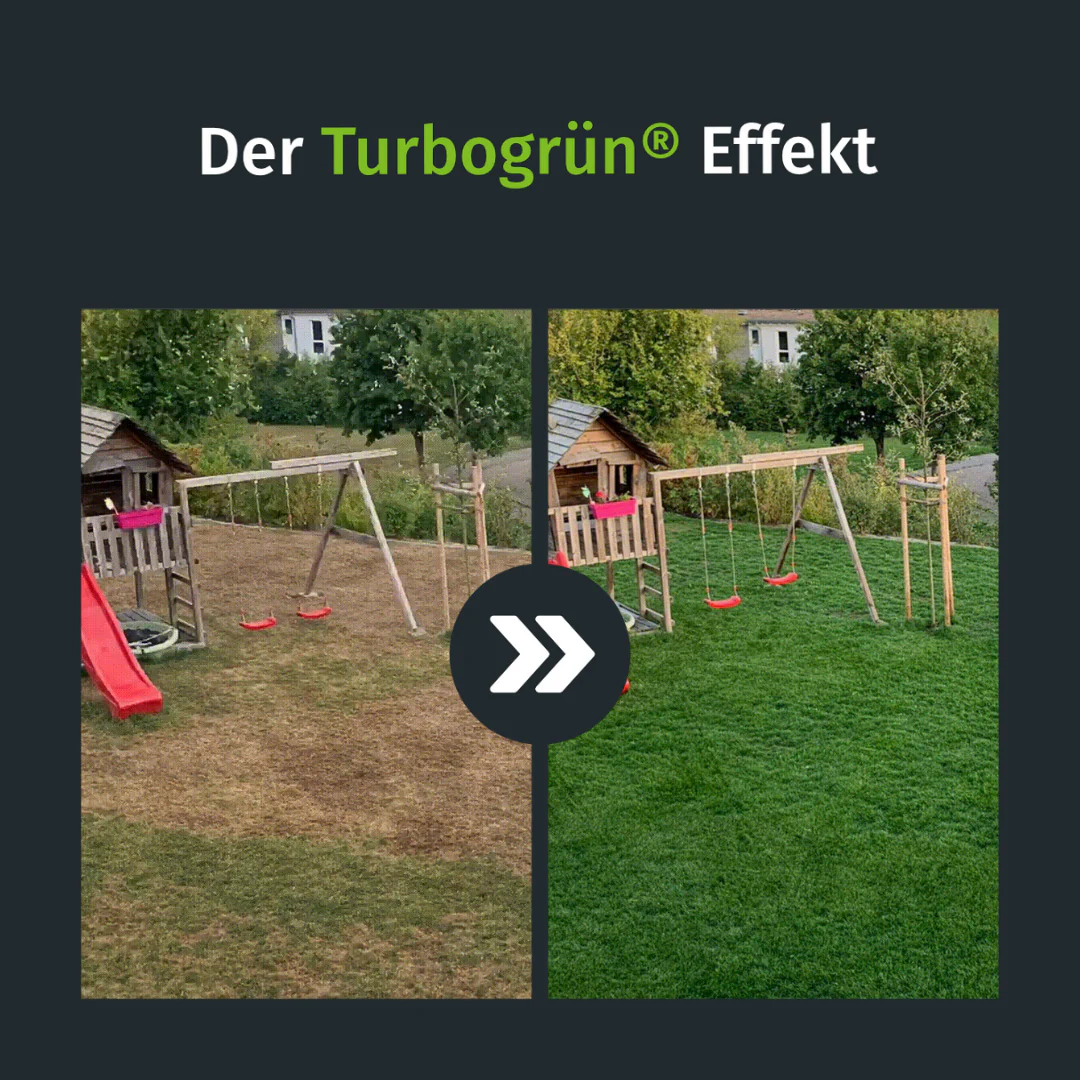Sommer Rasenset + GRATIS Unkrautvernichter (1000 m²) AT - Image 2