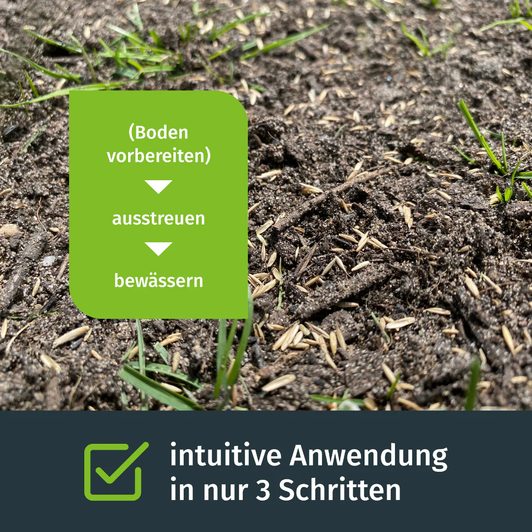 Sport- und Spielrasen - Image 3