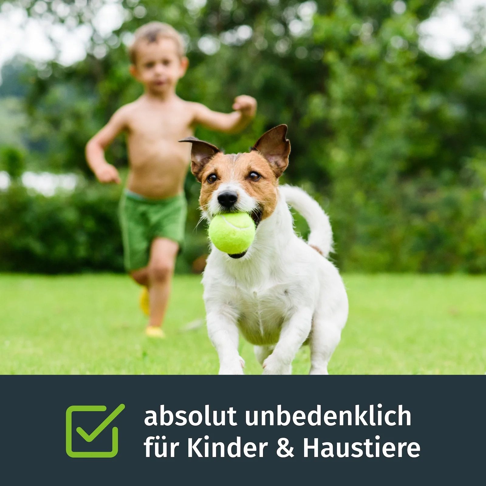 Rasenkalk - Image 4