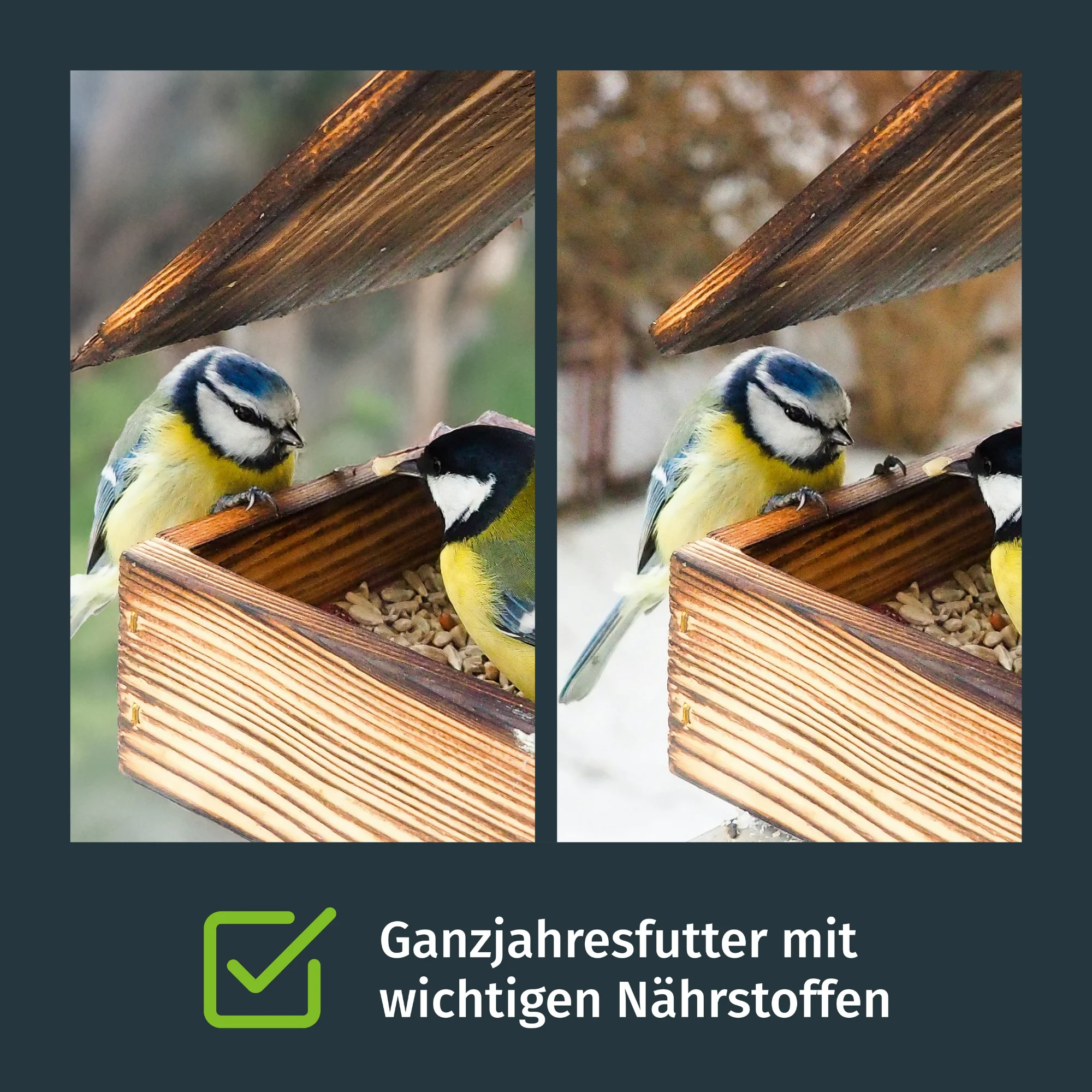 Turbokörner - Vogelfutter - Image 3