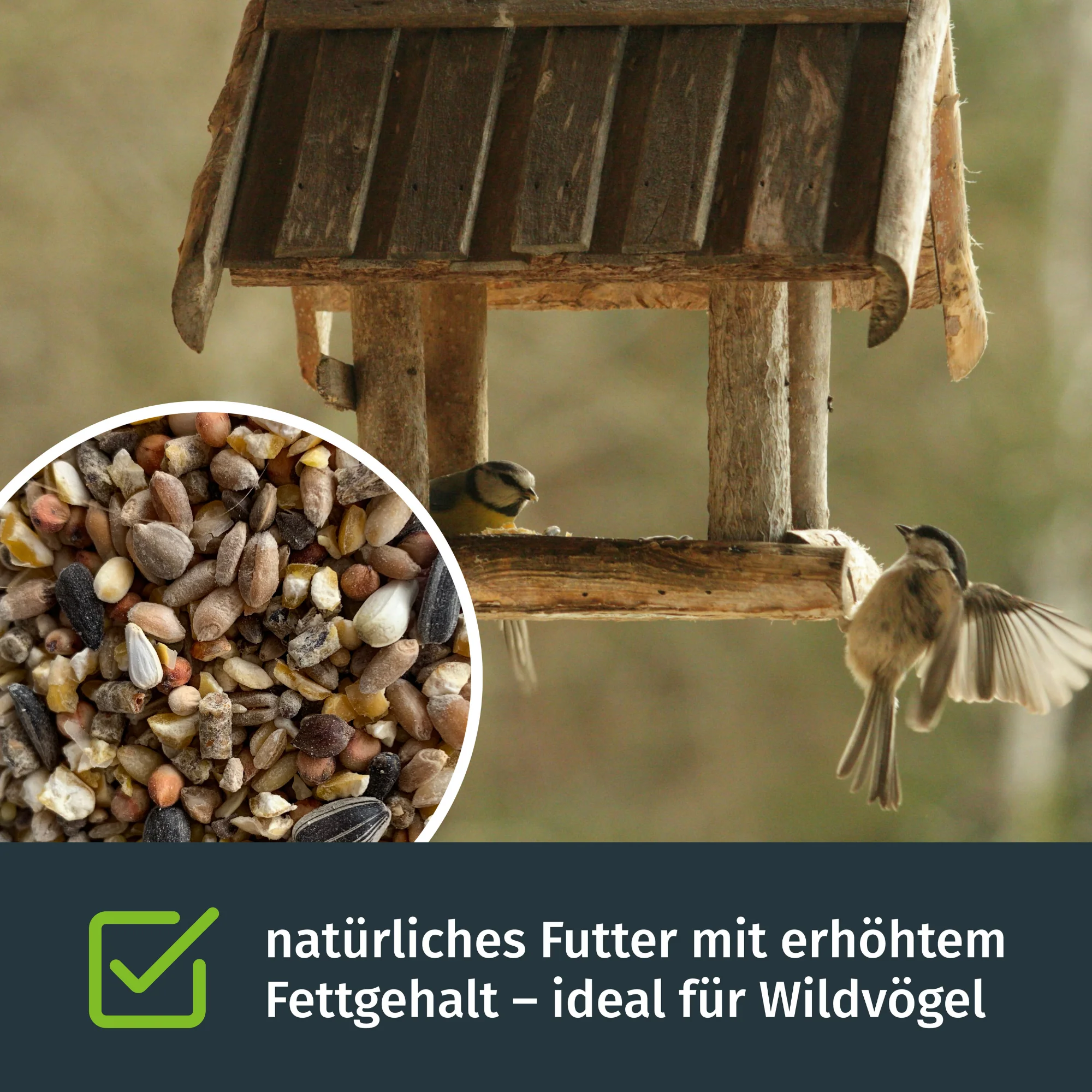 Turbokörner - Vogelfutter - Image 4