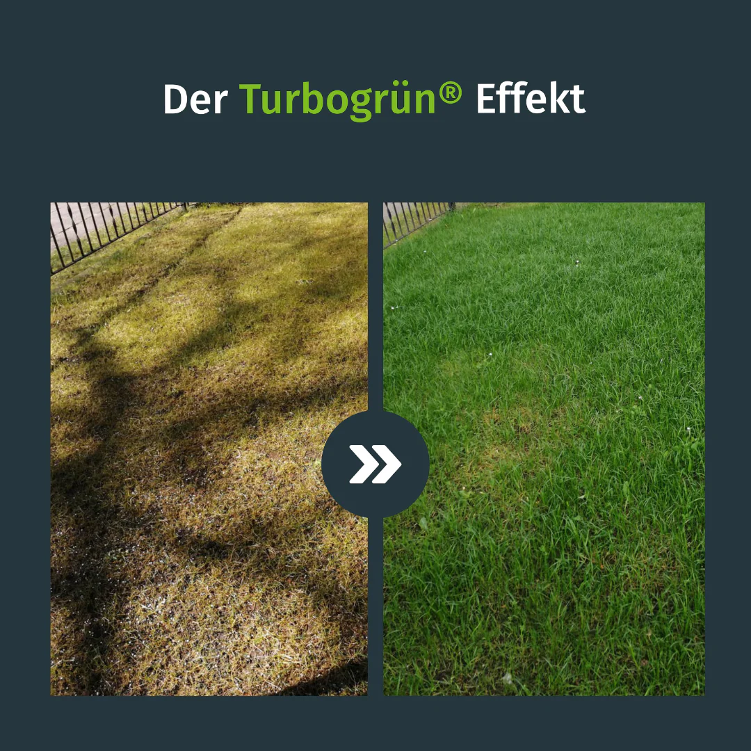 Winterdünger - Image 2